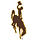 University of Wyoming
